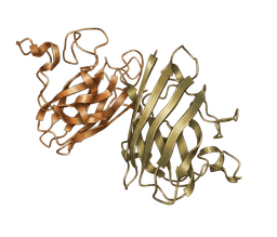 SOD1 / TDP-43 structure
