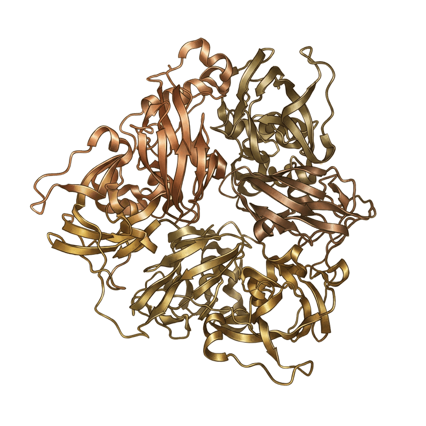 Ceruloplasmin