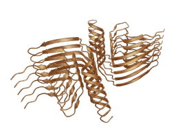 α-synuclein structure